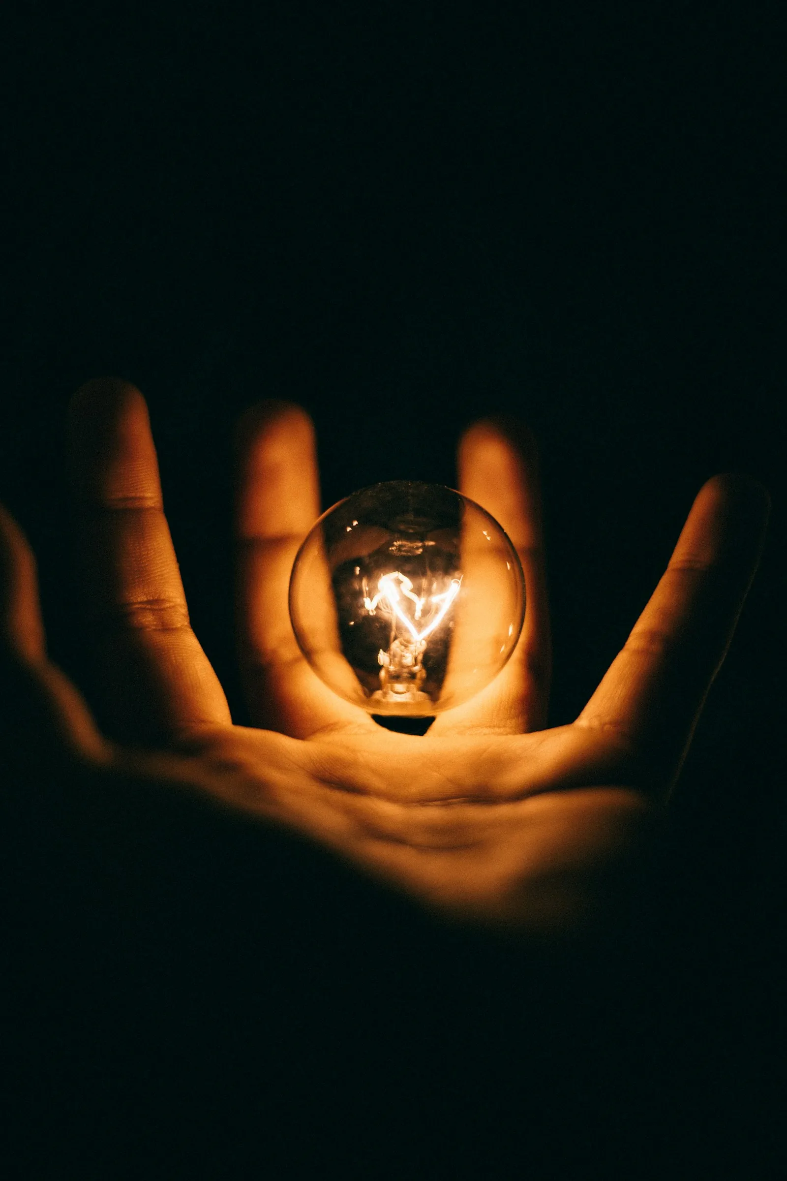 Publishers & E-Learning